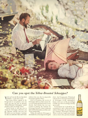 Yellow-breasted Schweppes - click here to read ad text